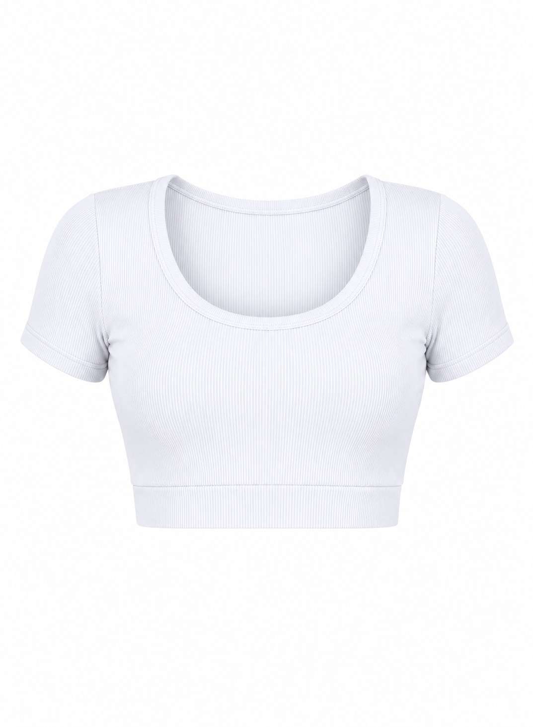 CAMISETA BÁSICA EN TELA RIB PREMIUM Ref. 304